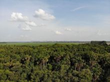 Excelente chácara próxima a Campo Grande MS
