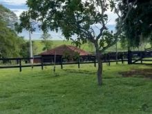 Chácara 40 ha - 21 km de Campo Grande