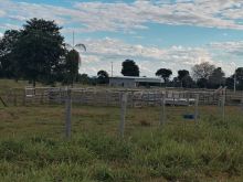 90 ha - Pecuária 18 km Miranda/ Bioceanica