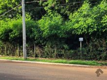 Dois terrenos juntos na avenida