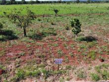 Terreno plano com 360 m² com ótimo preço