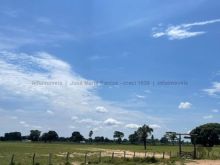 7.400 ha - Pantanal próximo Leilão Novo Horizonte