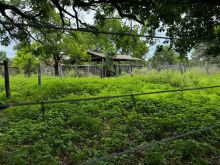 2.227 ha - Aquidauana - reformar e vender
