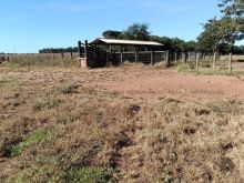 207 hectares - Chapadão Sul - Duplaptidão- Pecuária