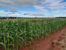 Ótima fazenda - Porteira fechada em Anastácio