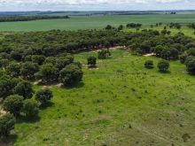 Área de 4 hectares na saída para São Paulo