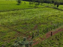 Área de 5000 m² na saída para SP - 300m da BR