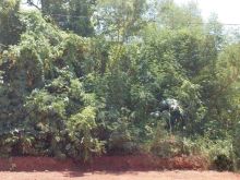 Terreno na Vila Angélica