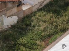 Terreno comercial no Centro