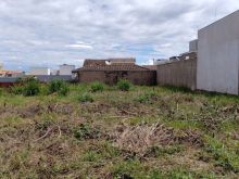 Terreno plano parte alta