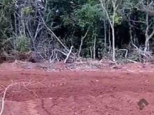 Chácara Jaraguari 30 ha