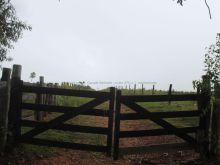 Fazenda em Miranda com 231 ha