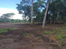 Fazenda 2.000 ha - excelente localização e preço
