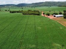 118 hectares arrendada a 22 km do centro