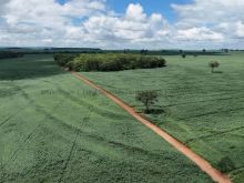 Fazenda em Rochedo - MS