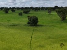 Fazenda em Rochedo/MS