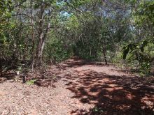 240 ha - Pé de Serra - planalto - cultura