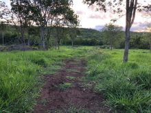 Paradisíaca