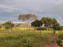 1.000 ha - dupla aptidão - soja vizinha