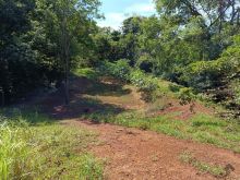 Linda chácara 31 ha Bonfim - a 44 km de Campo Grande