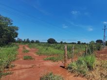 Fazenda dupla aptidão - 101 ha
