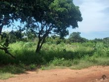 Jardim Morenão - terreno plano com 2.100m²