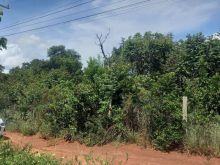 Chácara das Mansões - área de 10.000 m² - frente para rodovia