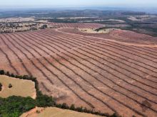 Fazenda 440 hectares - 24 km da cidade