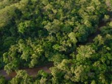 Chácara Rio Ceroula - Rochedo