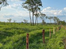 Fazenda para pecuária com forma nova