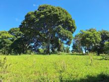 Chácara na MS-40 km 06