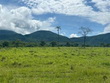 Fazenda com 4.306 ha