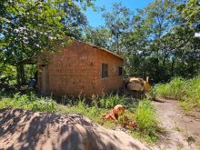 3,4 hectares arborizada - ideal para apicultura