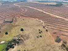 Fazenda dupla aptidão - 440 hectares