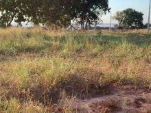 Terreno bem localizado - Ribas do Rio Pardo