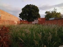 Lote no Monte Castelo