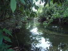 Chácara no beira do Rio Mimoso - lote 02