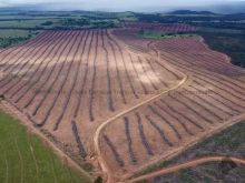 Fazenda lavoura 440 hectares - oportunidade