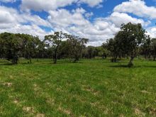 Área para chácara saída para SP - 9 km de Campo Grande