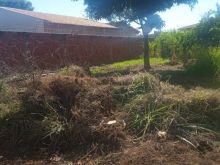 Terreno plano pronto para construir
