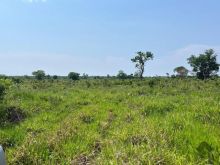 490 hectares - Ribas do Rio Pardo