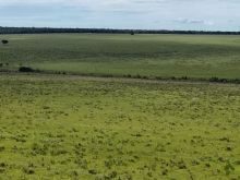 Fazenda de pecuária com possibilidade para lavoura