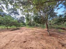 Chácara 2,1 hectares - entrada aeroporto Santa Maria