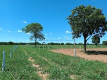 Bela área de 2 hectares a 15 km de Campo Grande