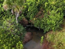 Linda área - 1 ha (10.000 m²) - com córrego