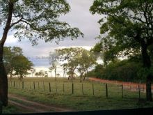 Fazenda - oportunidade - 1.000 hectares - Ribas do Rio Pardo