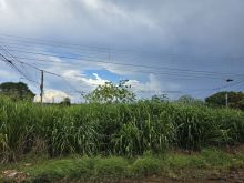 Terreno de esquina no Jardim Colúmbia