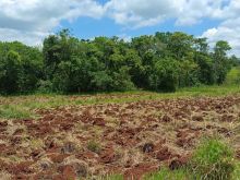 Chácara 5 hectares e meio - formada a 25 minutos da UCDB