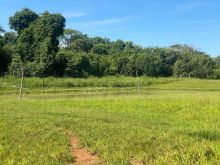 36 has - margens do Rio Piraputanga