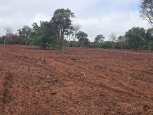 Área de 70 hectares - terra boa